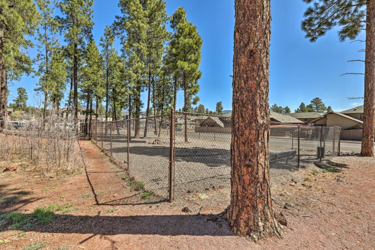 Modern Flagstaff Home, 4 Mi To Downtown! Esterno foto